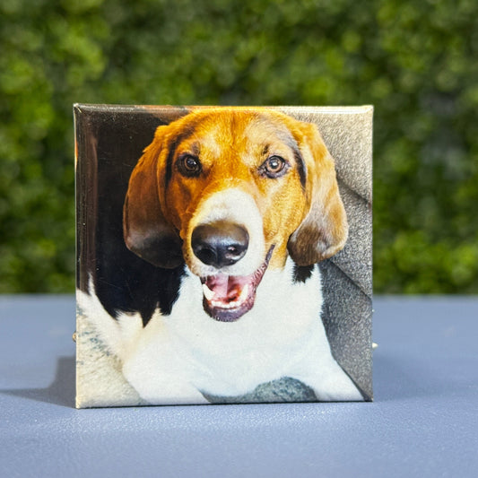 Square Custom Photo Magnets