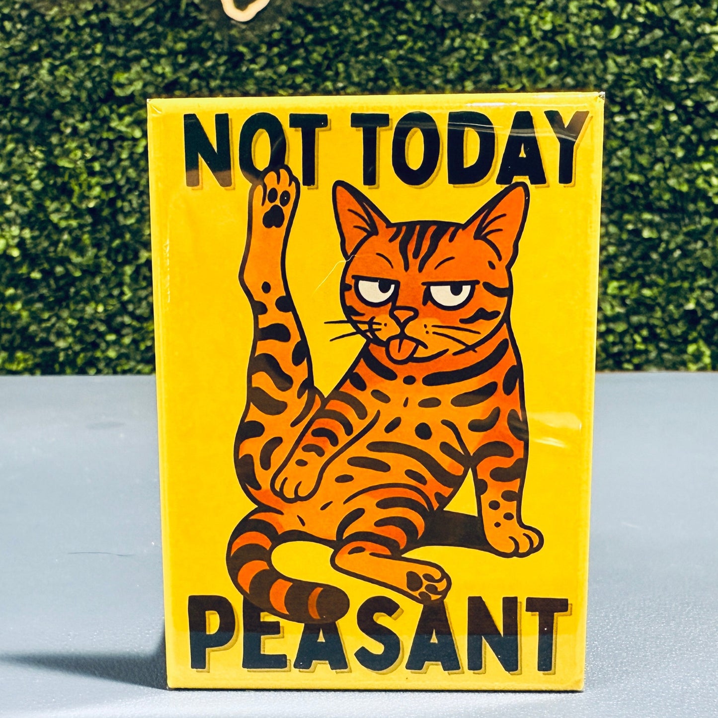 Magnet with bengal cat illustration and text 'Not Today Peasant' on a surface with a green textured background.