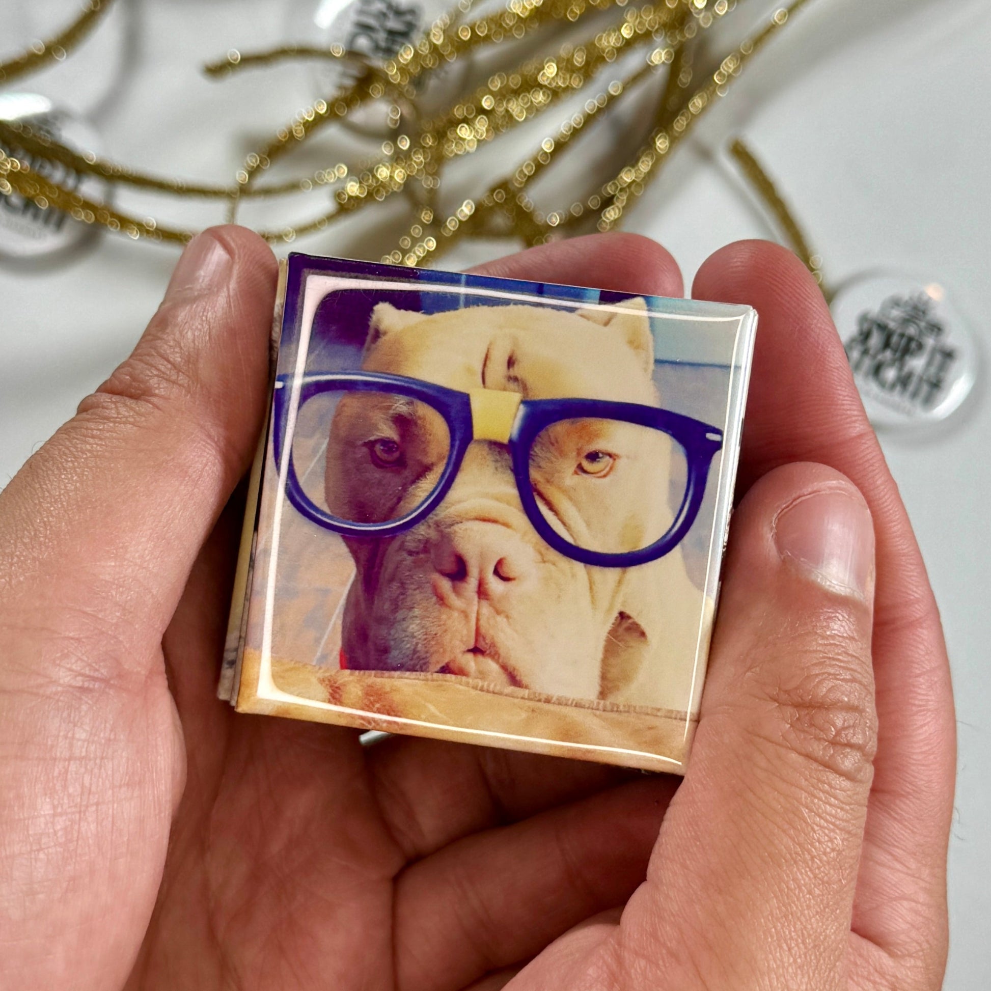 IMG_2690.jpeg__PID:adb7fb4b-83e0-4ee8-8049-600cc3089a23