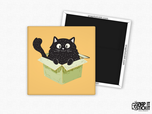 Black cat in box fridge magnet – 2x2” square magnet featuring a wide-eyed cartoon black cat sitting playfully inside a green cardboard box on a warm orange background. Strong magnetic back with Snap It Stick It branding. Perfect gift for cat lovers and fans of funny feline behavior.