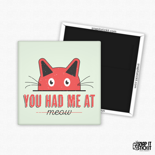 Fridge magnet with a red cat face and text 'You had me at meow' on a light green background.