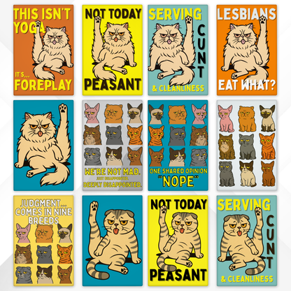 Set of colorful magnets with cat illustrations and text on a white background