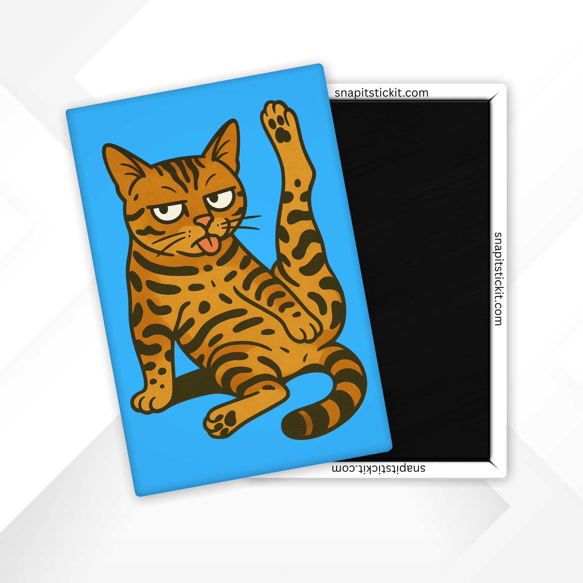 Cartoon cat magnet on a blue background with 'snapitstickit.com' branding.