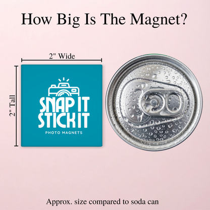 The Secret to a Clean Kitchen – Funny Sarcastic Retro Housewife Magnet